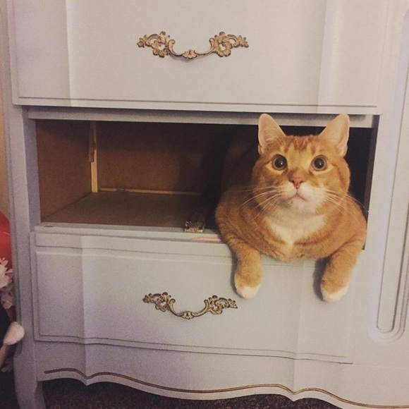 Frills with Thrills! 🎀 - Picture 5 of 6